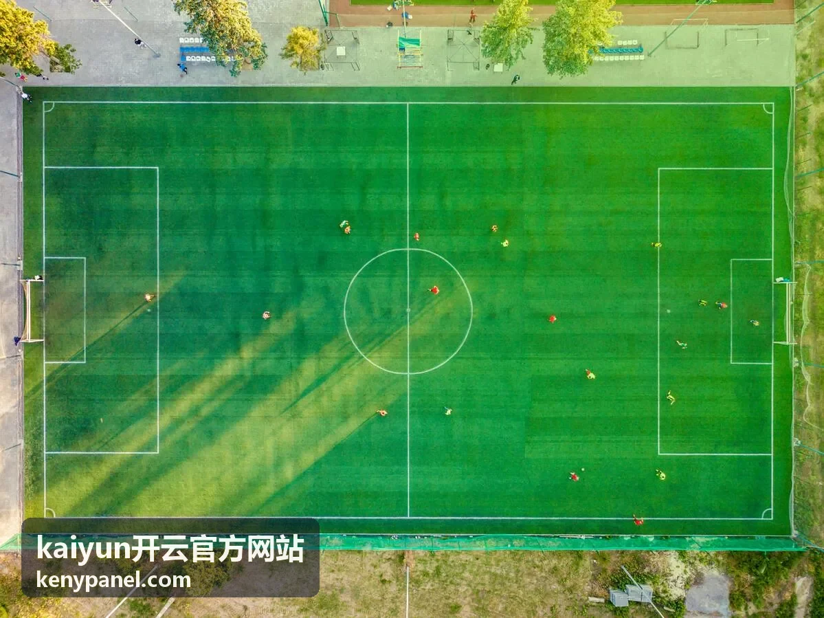 kaiyun开云官方网站流程协同与任务分派示意